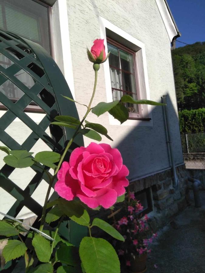 Ferienwohnung Zu Hause Am Bach Aggsbach Exterior foto